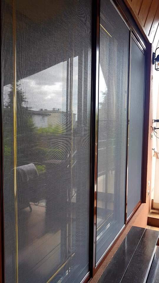 FB IMG 1662046888053